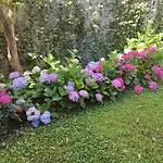 Il Dondolo Blu
