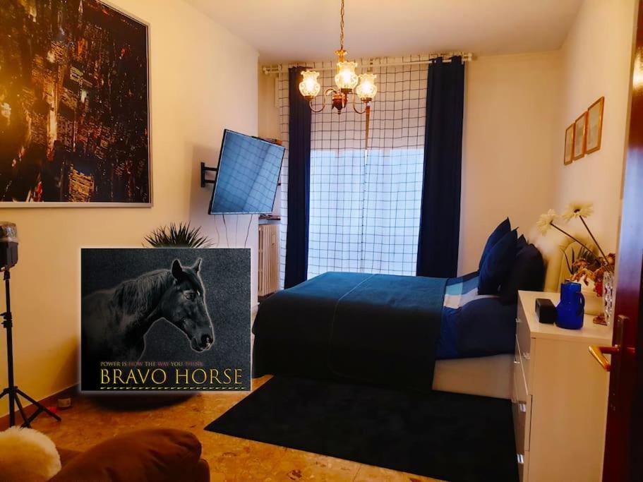 Bravo Horse Accommodatie bij particulieren Florence