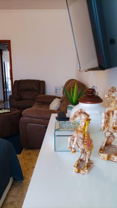 Accommodatie bij particulieren Bravo Horse