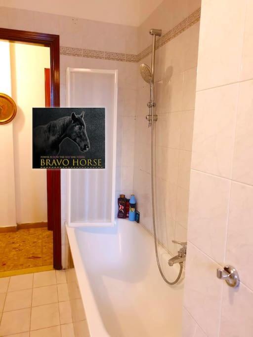 Accommodatie bij particulieren Bravo Horse Florence