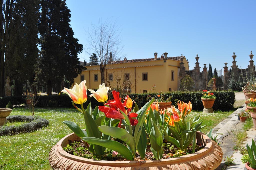Buonincontro Florence