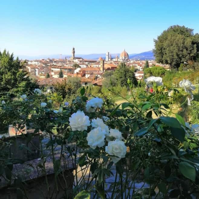 Appartamento Bianca Firenze