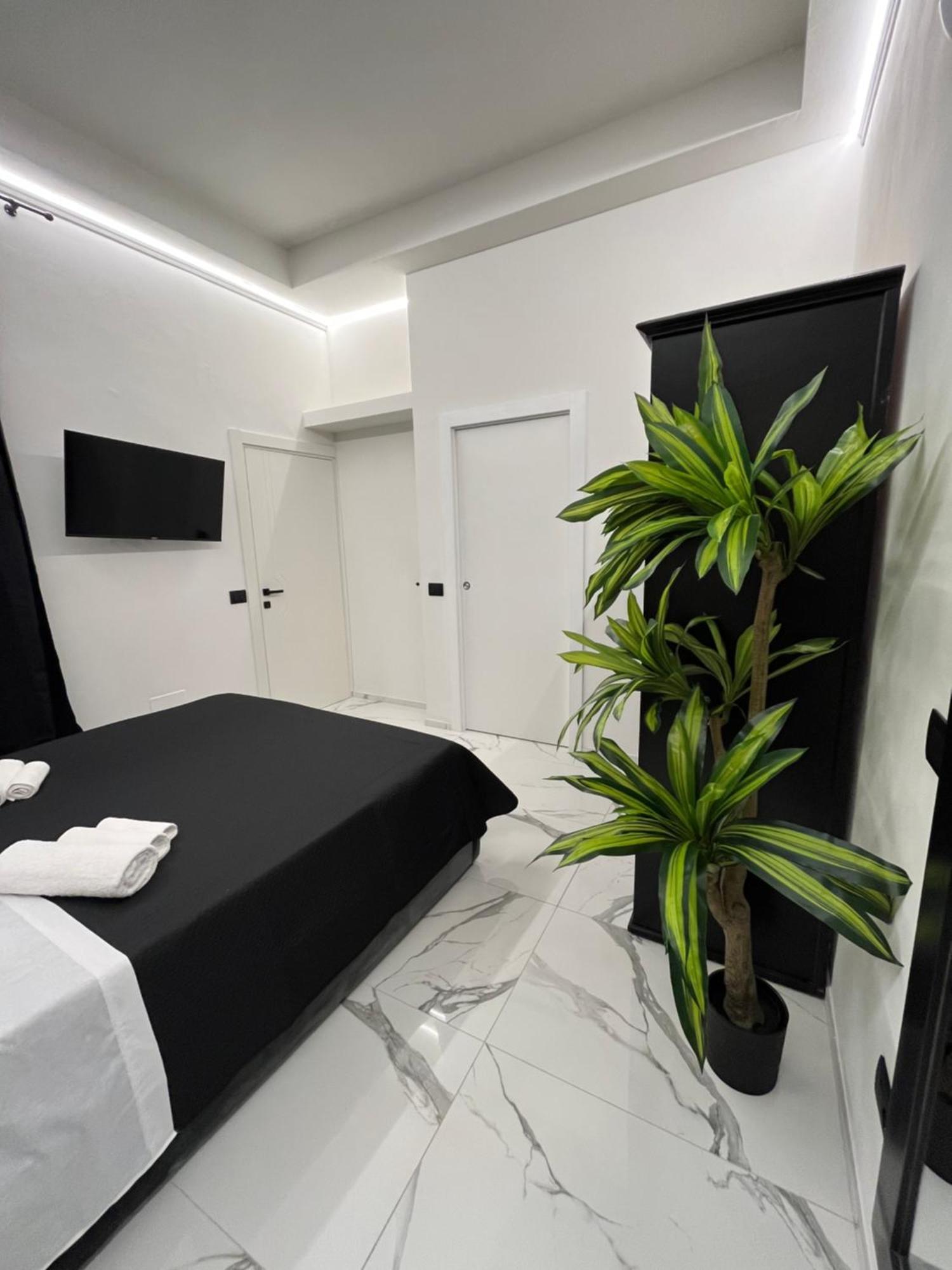 - Ghibellina 92 Appartement *