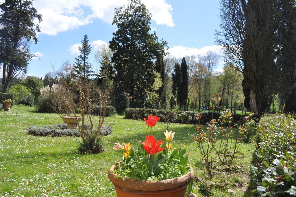 Buonincontro *