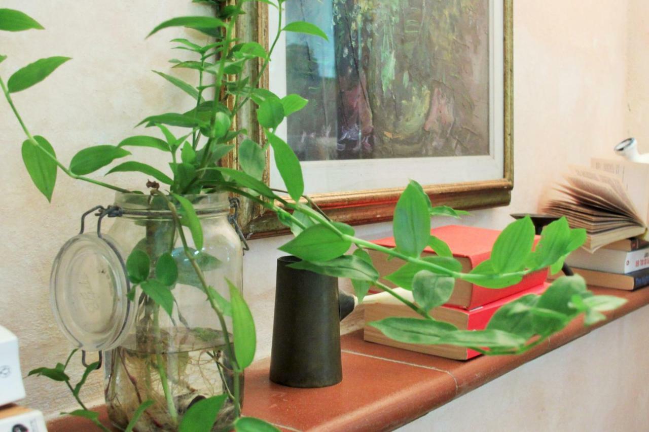 Apartment Garden Terrace Oltrarno Florence