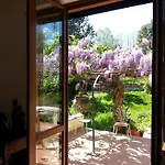 Apartment San Damiano 45