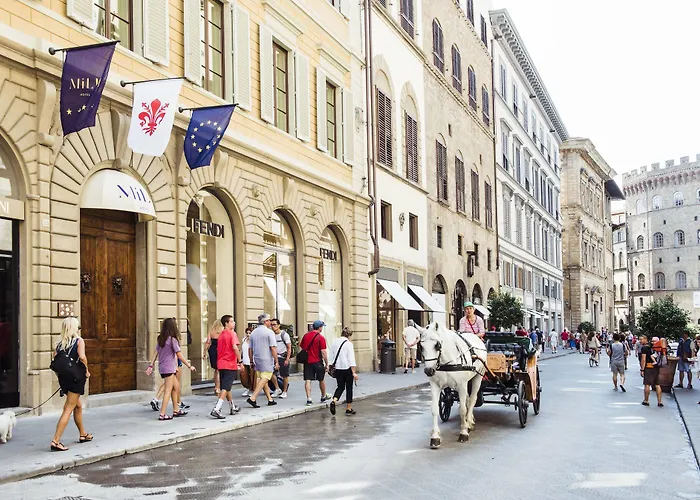 Hotel Milu Florence