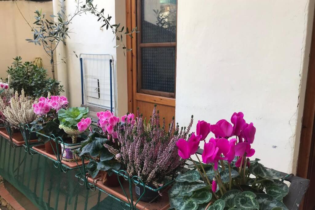 Leilighet Deluxe In The Centre Of Firenze