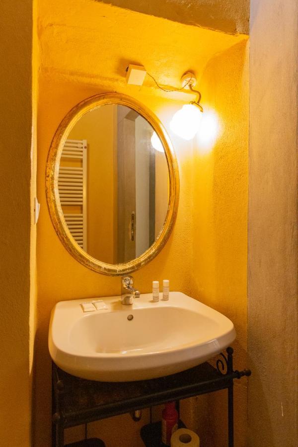 Comfy Near Palazzo Pitti Firenze