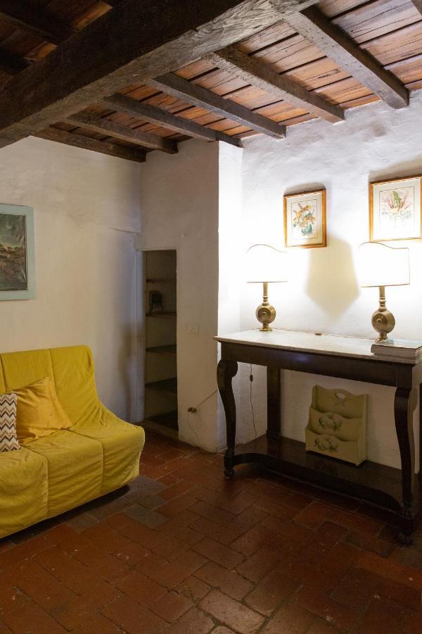 Appartamento Comfy Near Palazzo Pitti Firenze