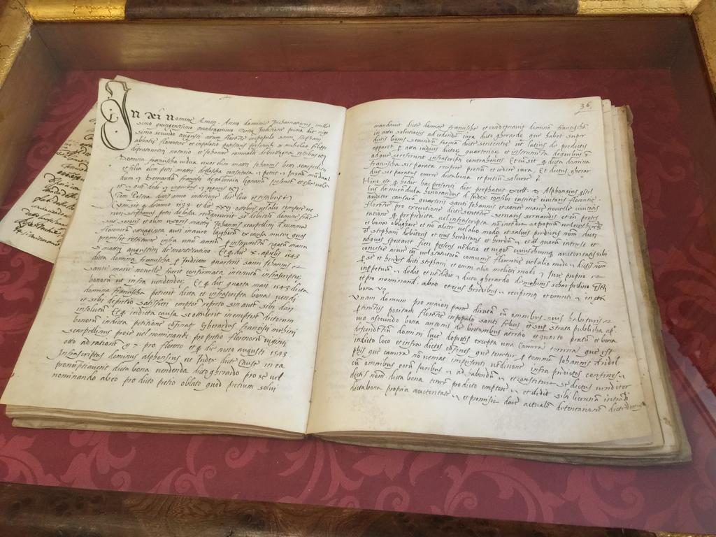 Gæstehus Stanze Del David Place Firenze