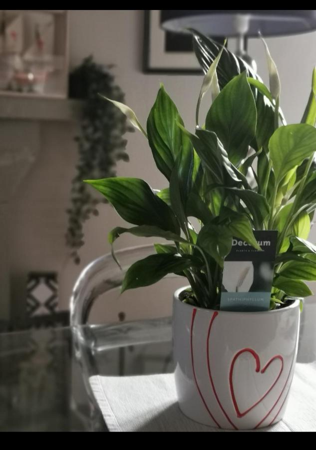 Privilege Dior Apartamento Florença