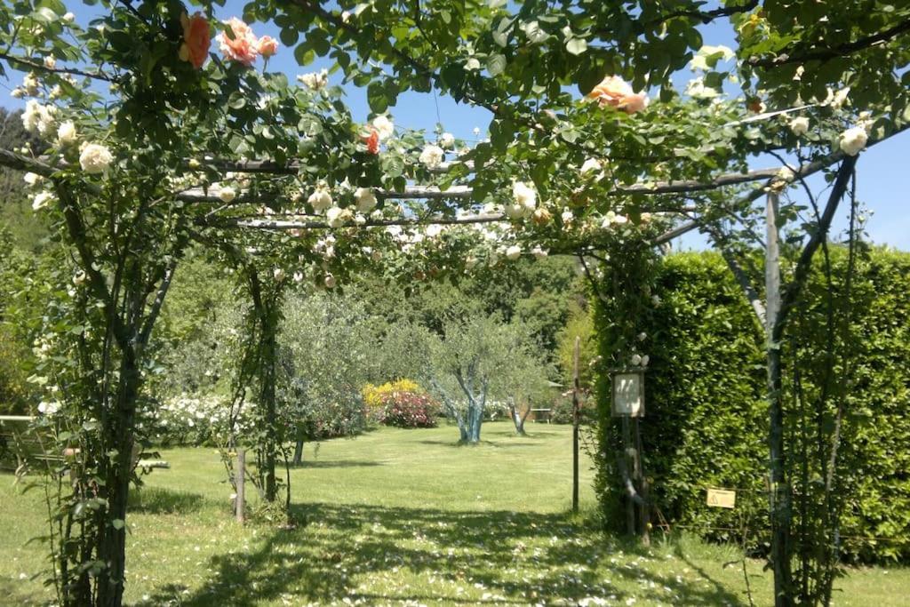 Il Giardino In * Firenze