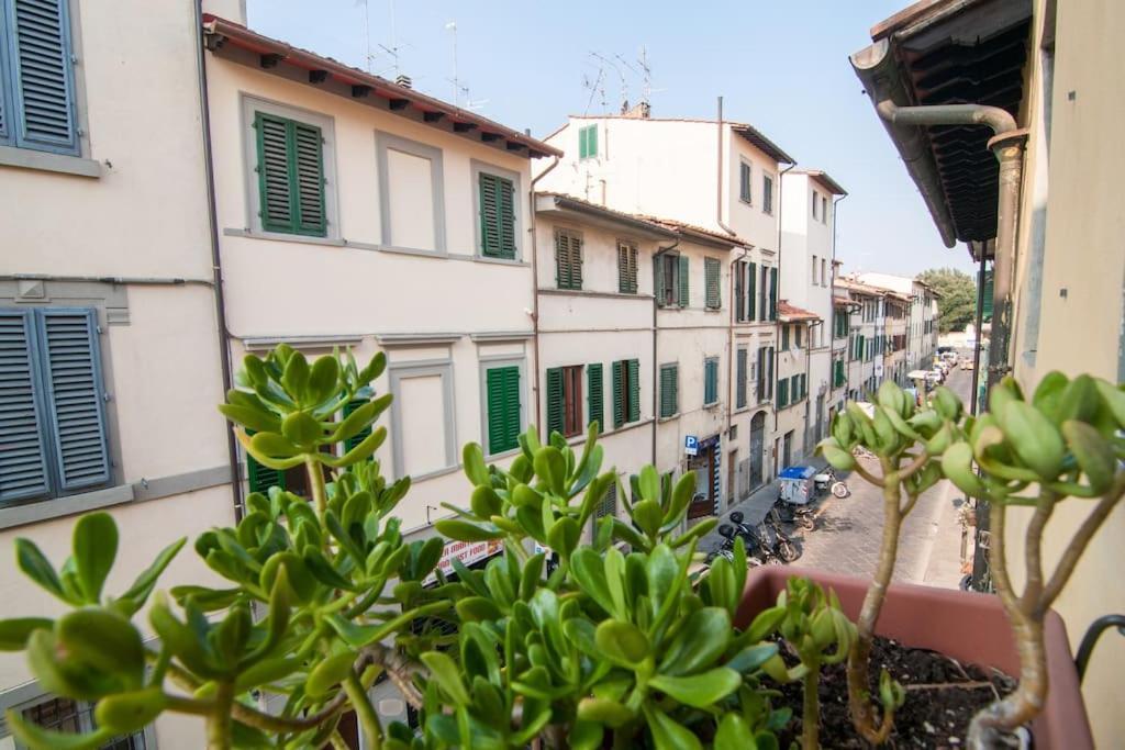 Romantic In San Frediano Appartement