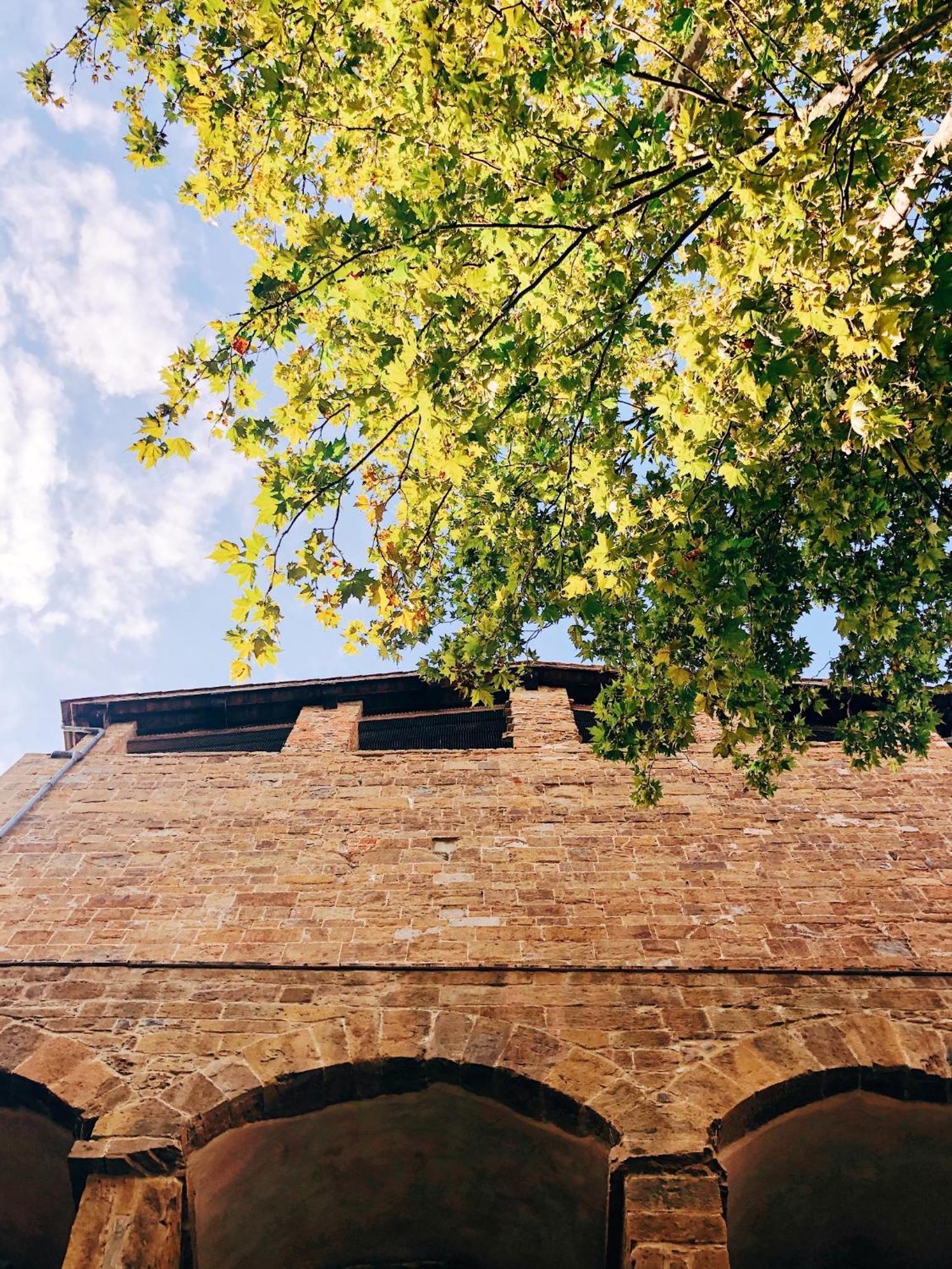 D'arte, L'oasi * Firenze