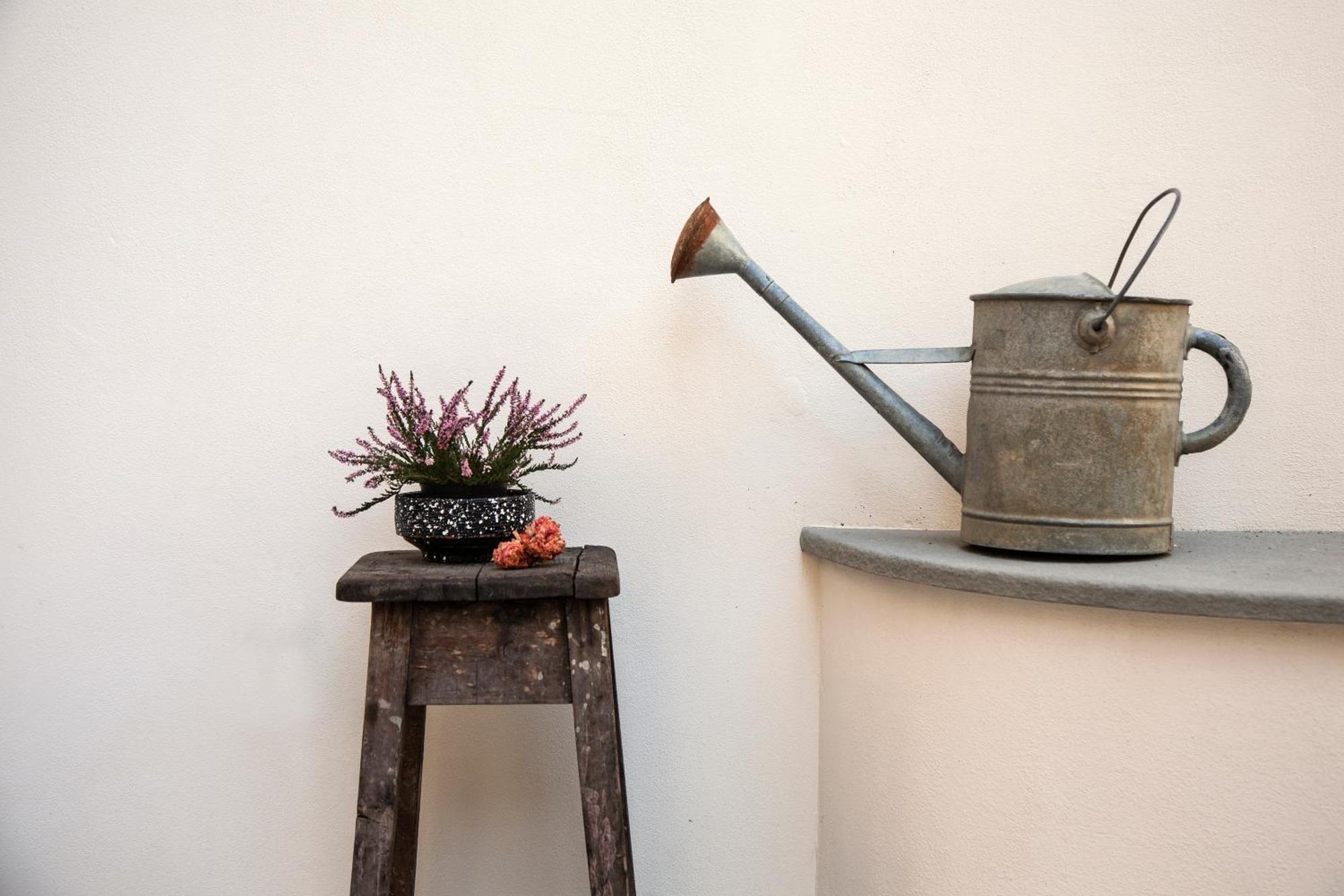 Leilighet Pietrapiana Boutique