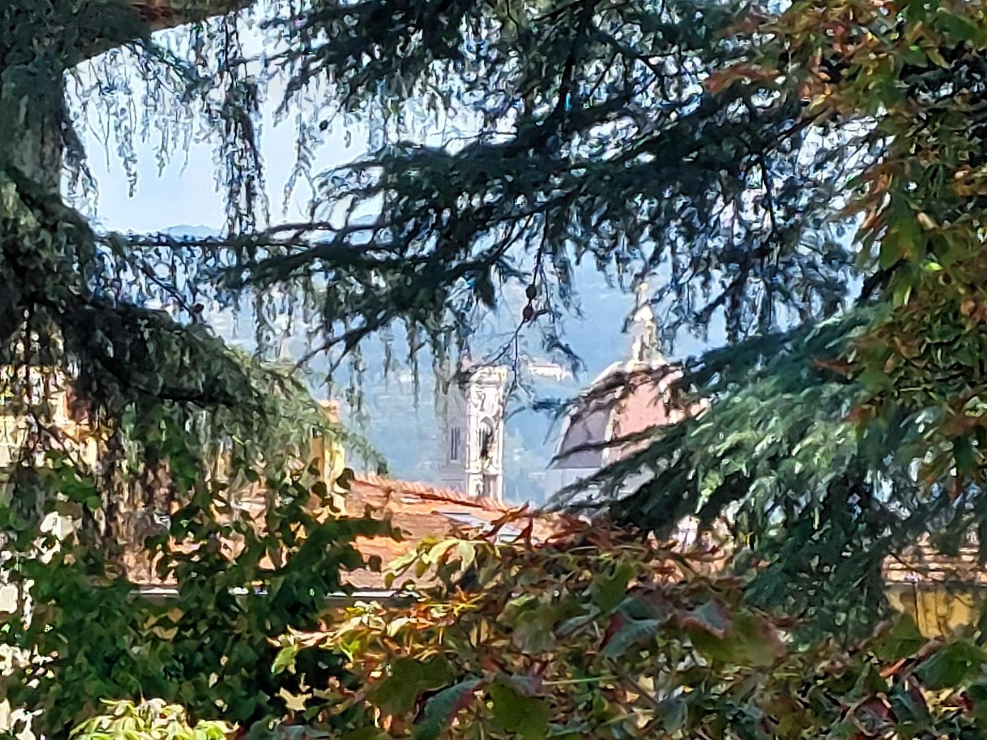 Greenhouse