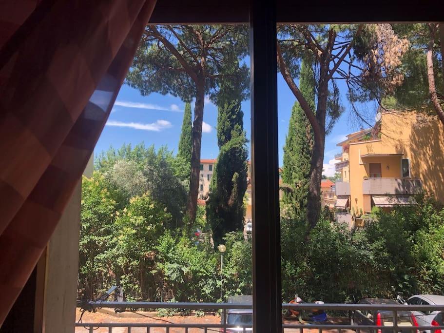 Sansovino Bed And Car * Firenze