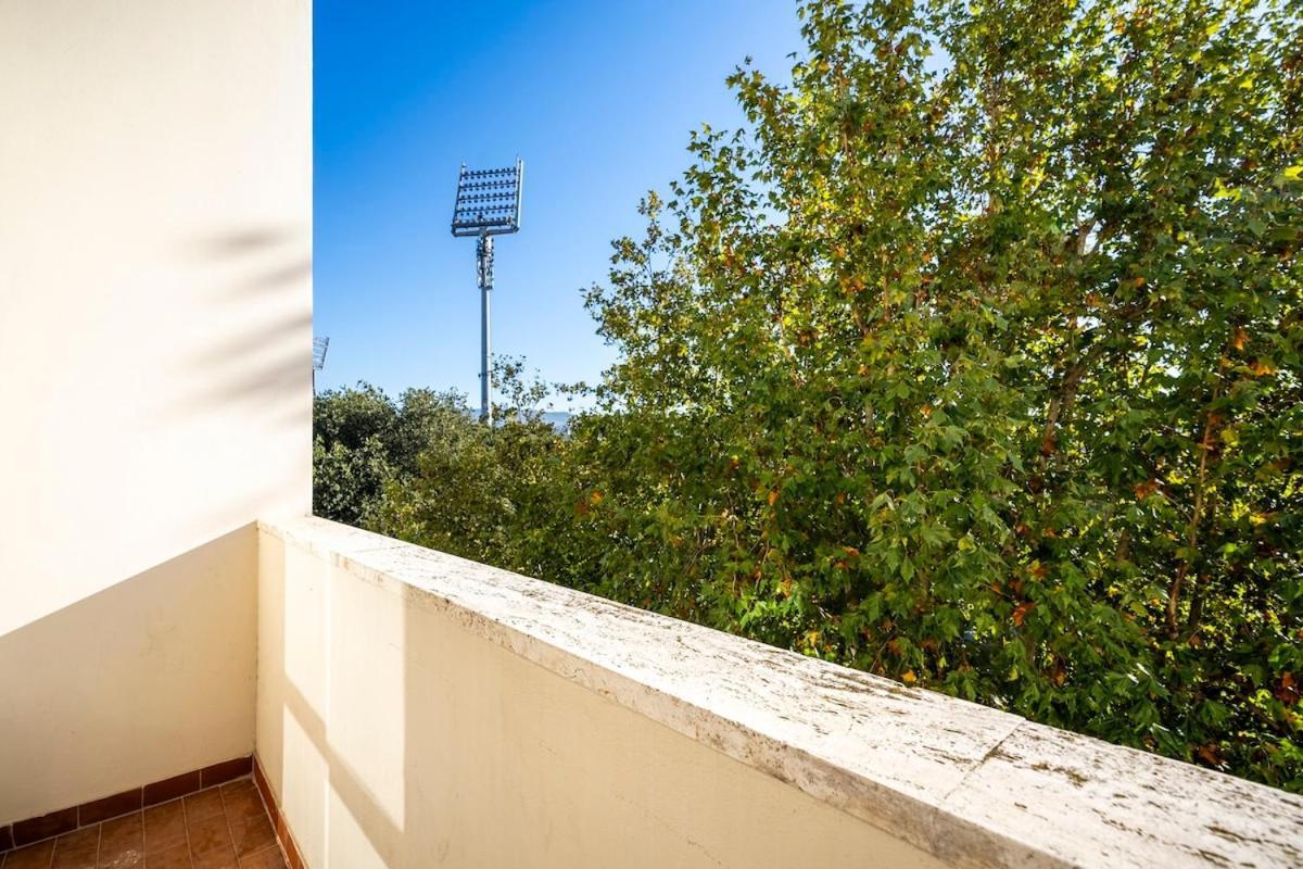 Franchi Stadium Elegant *