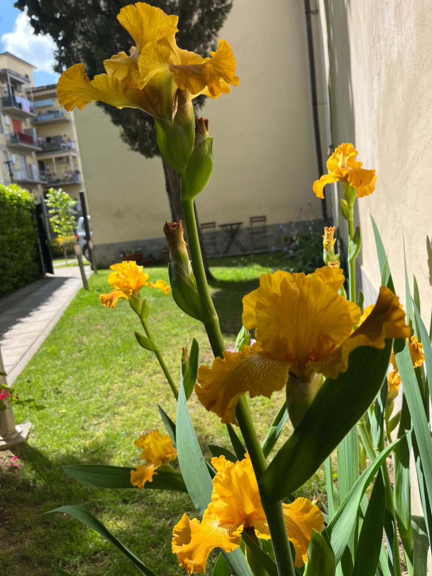 Leilighet Dalu Lucilla - Private Car Park 15 Minutes To The Center Firenze