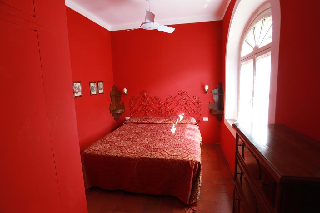 Acacia Firenze