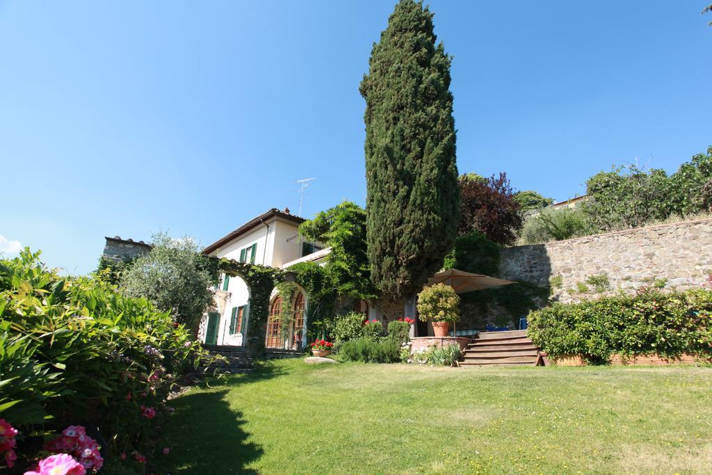 Acacia Firenze