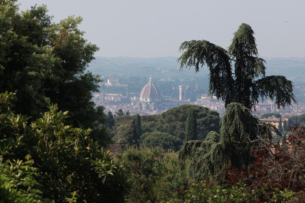 Acacia Firenze