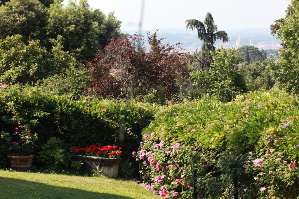 Acacia Firenze