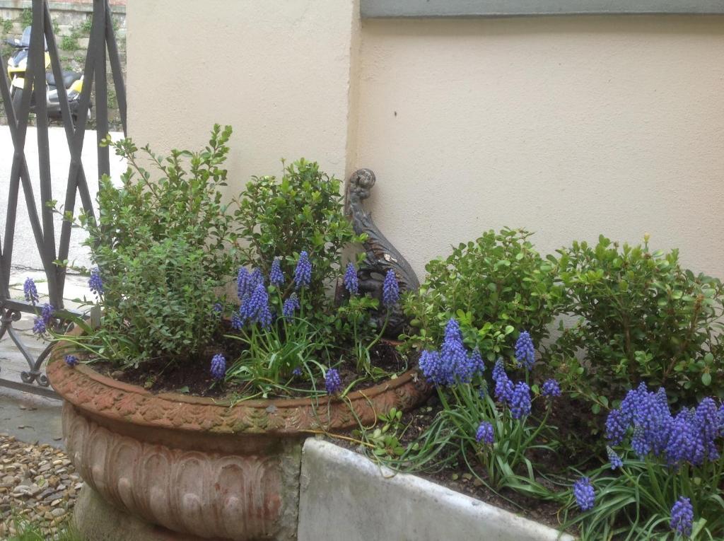Al Giardino Delle Rose Gasthuis 3*