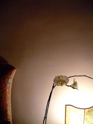 Hotell Cestelli Firenze