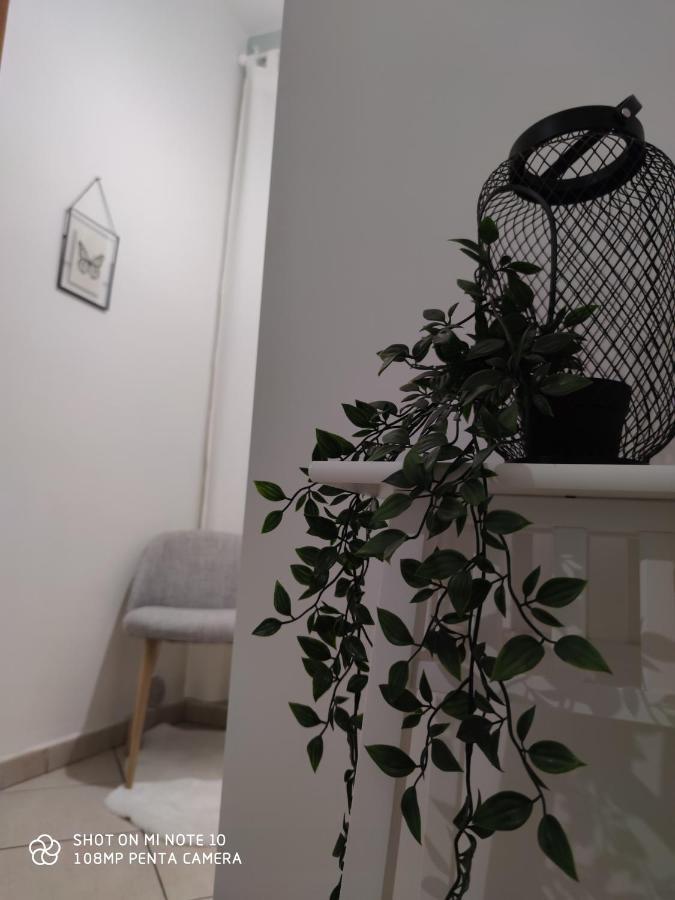 Lost In Guest house *