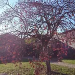 La Casa Di Lucia - Firenze