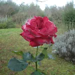 Il Cigliere Your Holiday Home In The Heart Of Tuscany