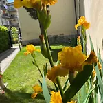 Dalu Florence Apartment Davide - Private Car Park 15 Minutes To The City Center