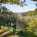 Il Sottolo