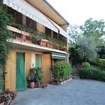 L\'ulivo Chiantigiana 115