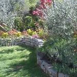 L\'ulivo Chiantigiana 115