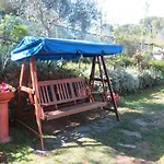 L\'ulivo Chiantigiana 115