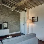 Apartments Florence Beautiful Terrace Serragli