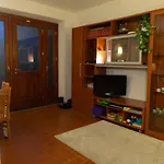 Green Corner Apartment In Florence City