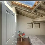 Apartments Florence Beautiful Terrace Serragli