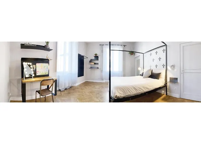 Domus 19