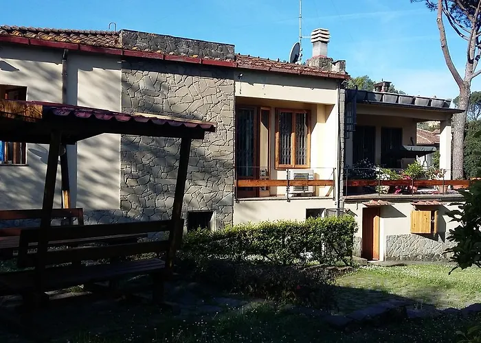 L\'ulivo Chiantigiana 115