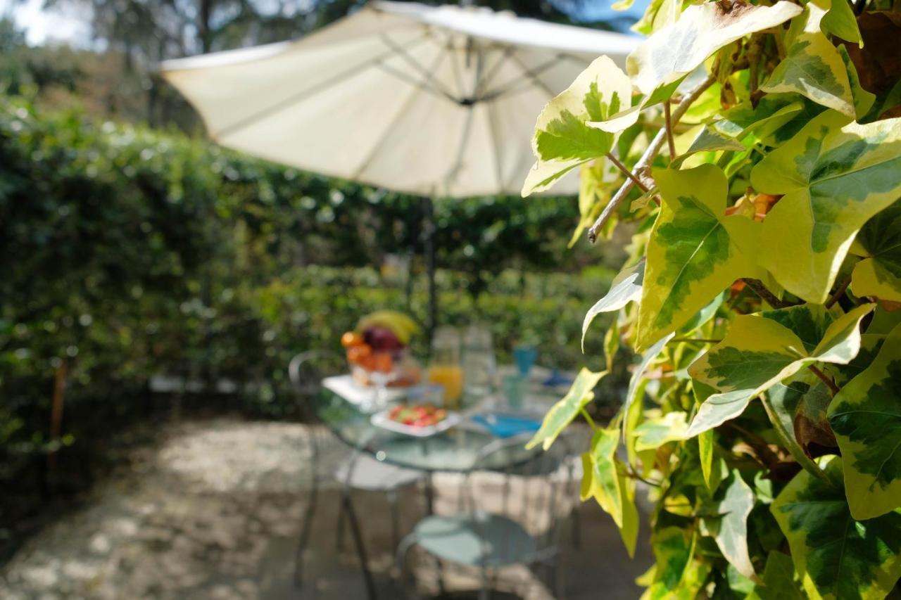 Il Leone Bed & Breakfast Firenze