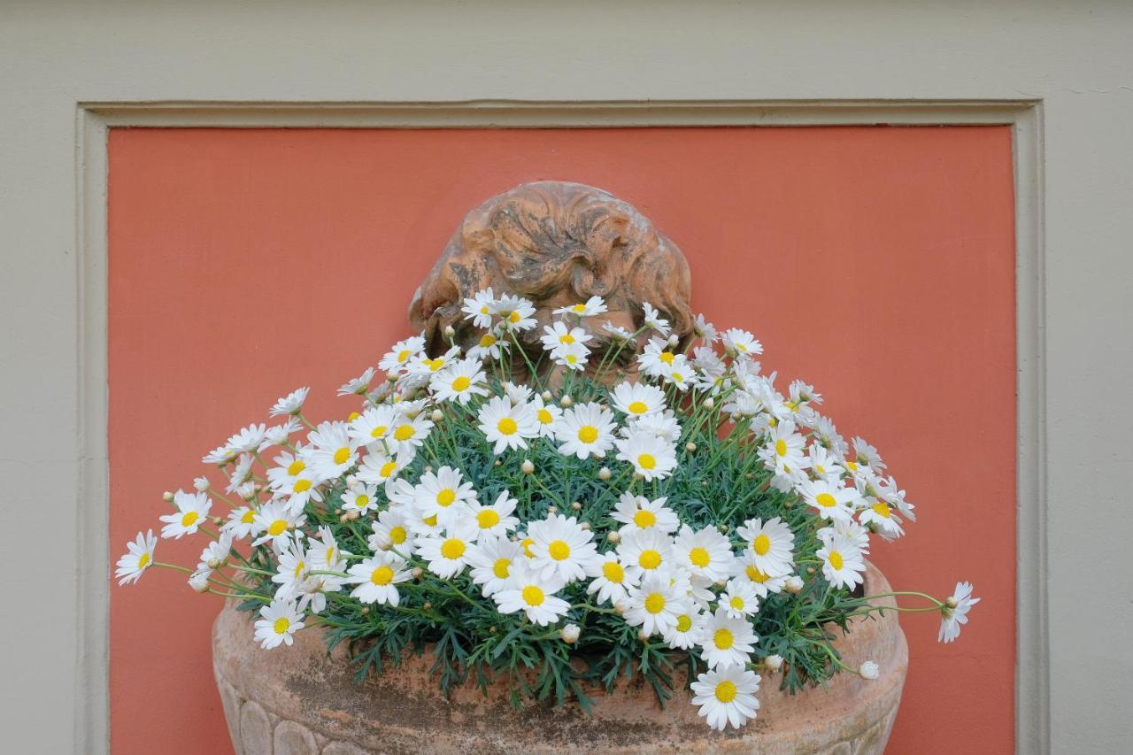 Bed & Breakfast Il Leone