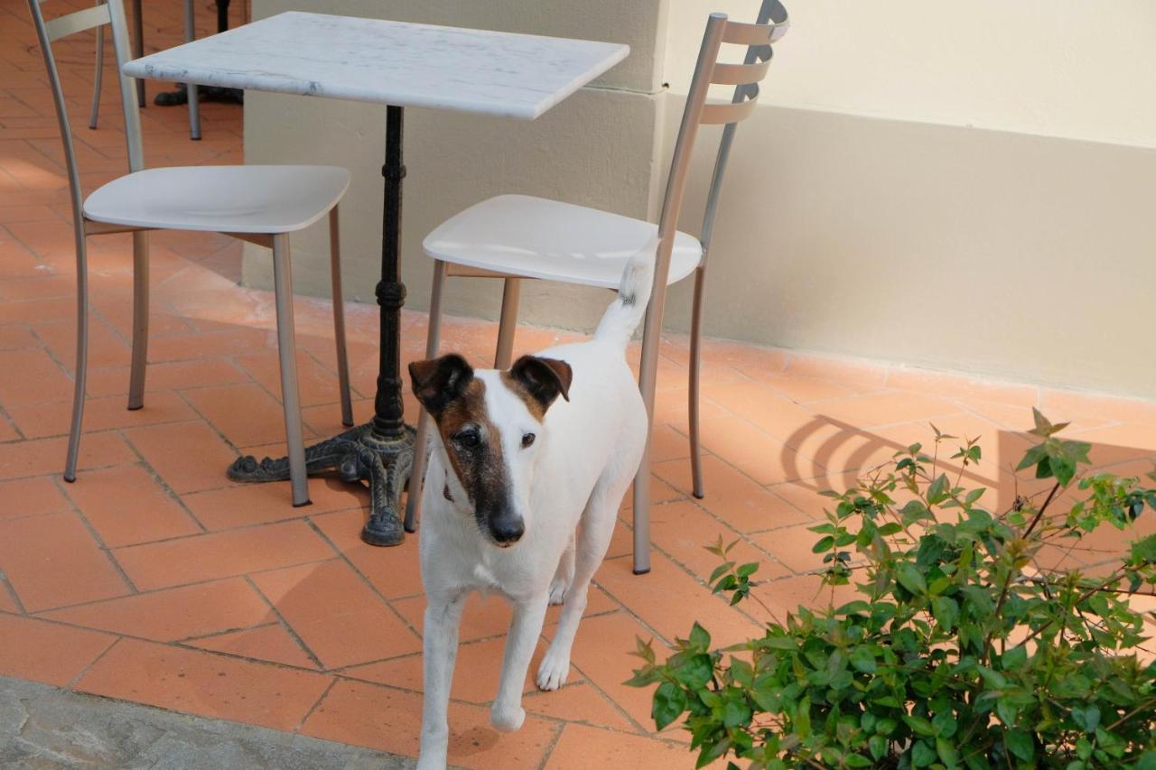 Il Leone Bed & Breakfast Firenze