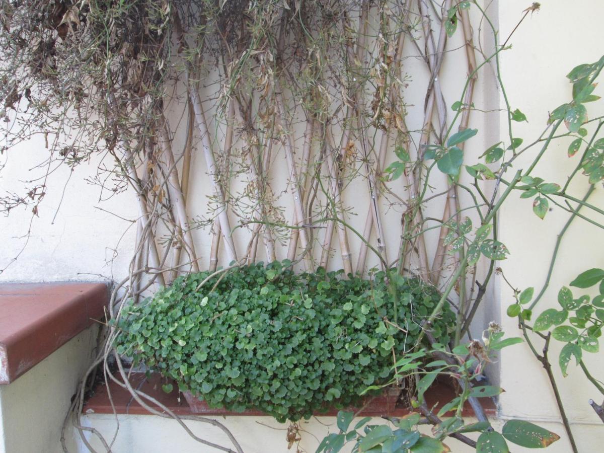 In Centre Of Florence, Balcony And Terrace With Amazing View Appartement