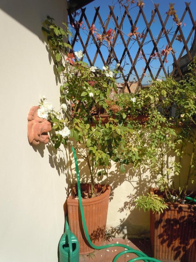 In Centre Of Florence, Balcony And Terrace With Amazing View Appartement Florence