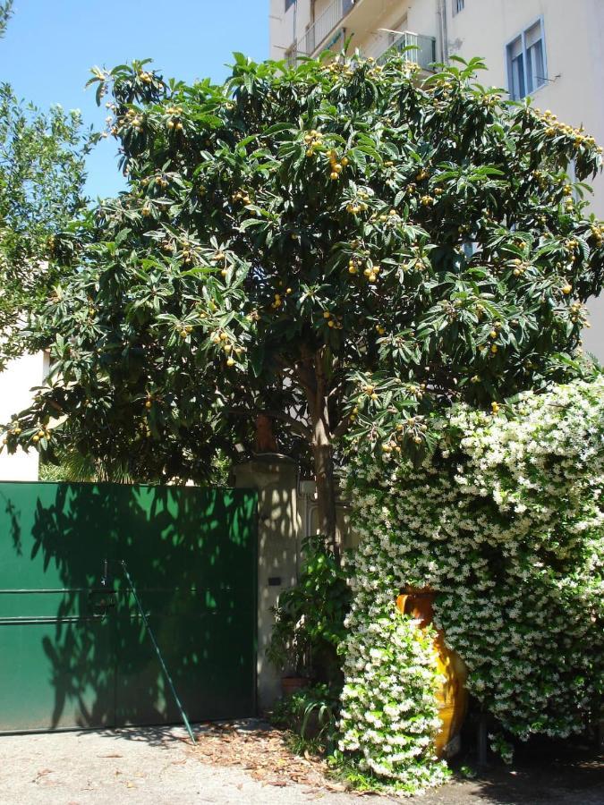 Apartamento Casa Del Gelsomino E Del Nespolo