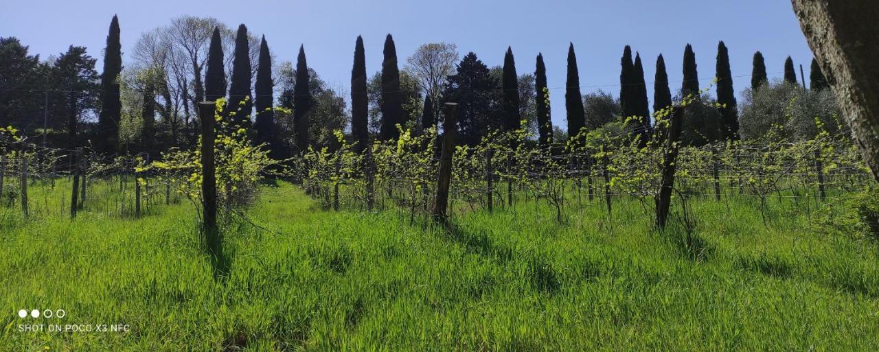Fattoria Il Milione Feriegård Firenze